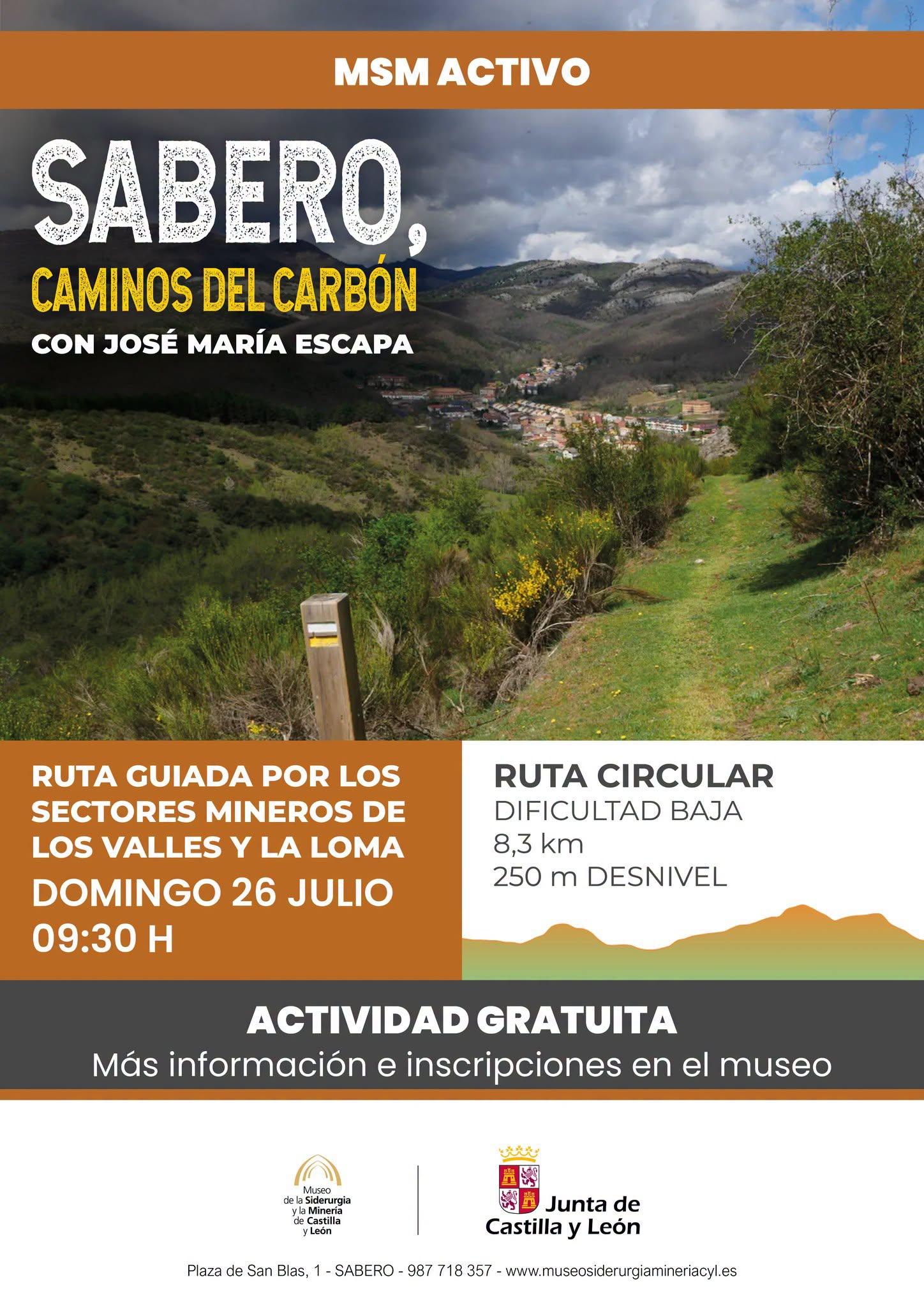 MSM ACTIVO - CAMINOS DEL CARBÓN.0