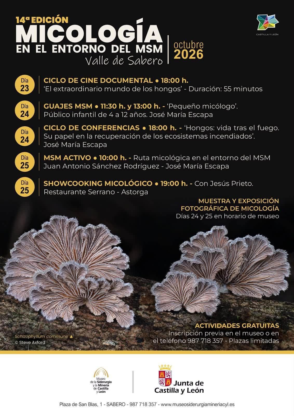 MICOLOGÍA EN EL ENTORNO DEL MSM.0