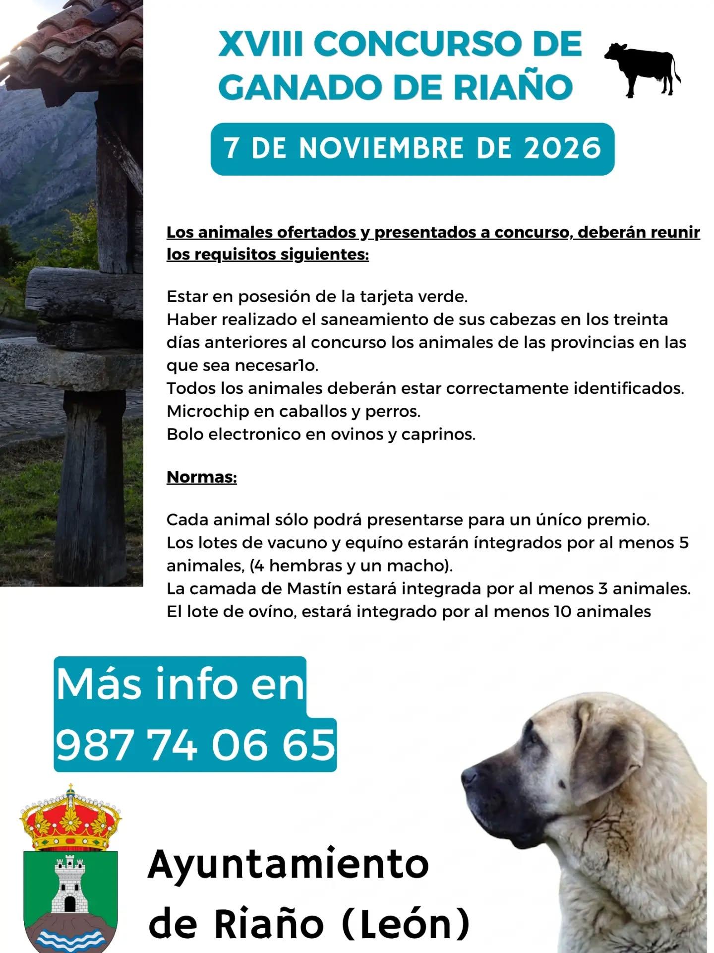 FERIA DE NOVIEMBRE.3