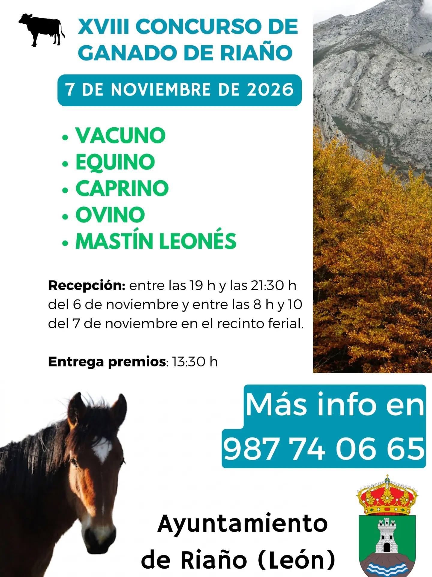 FERIA DE NOVIEMBRE.2