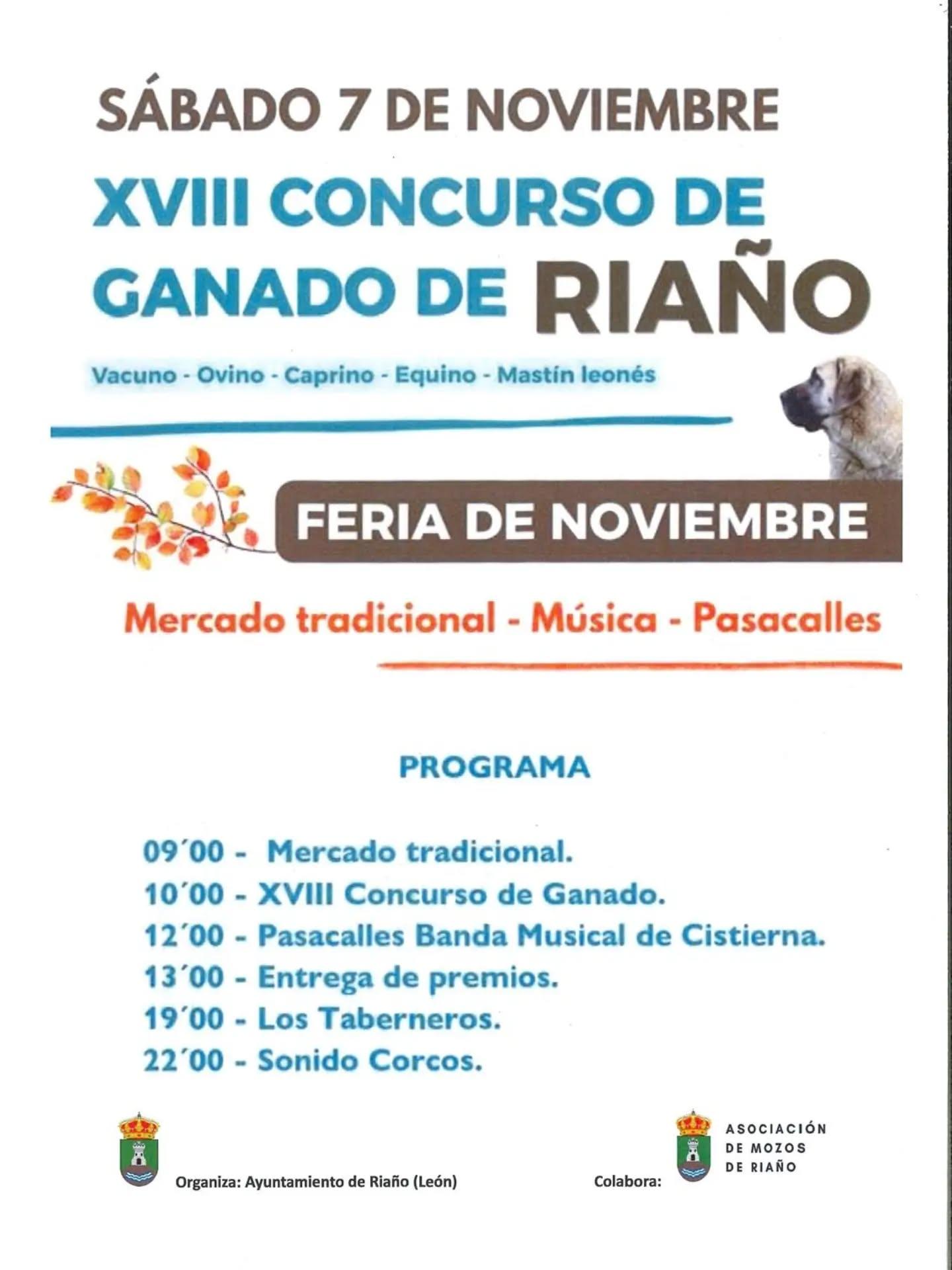 FERIA DE NOVIEMBRE.1