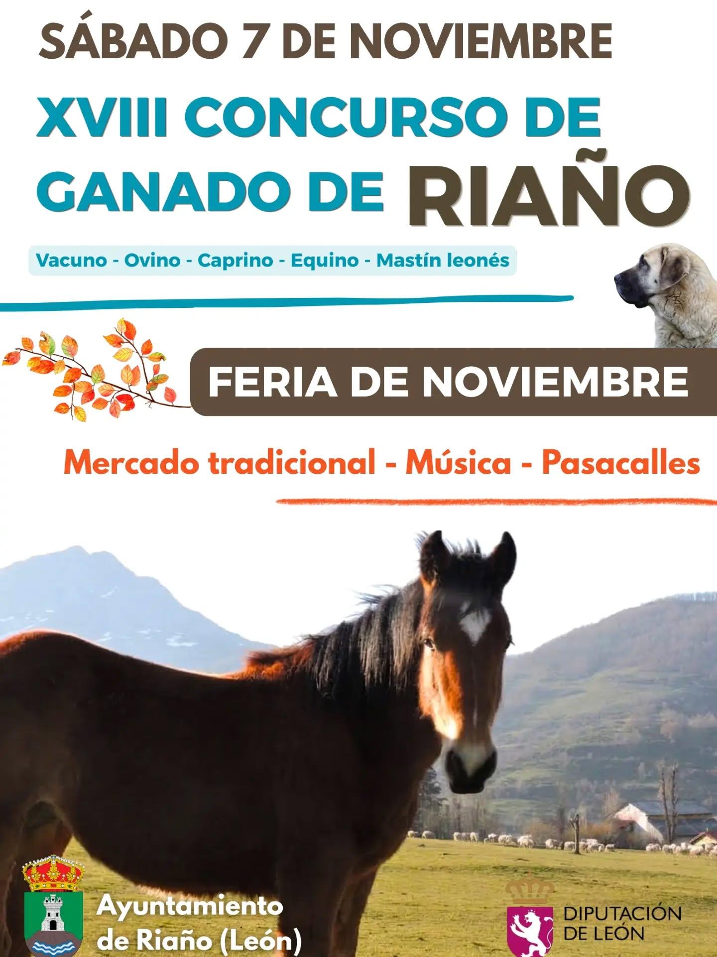 FERIA DE NOVIEMBRE.0