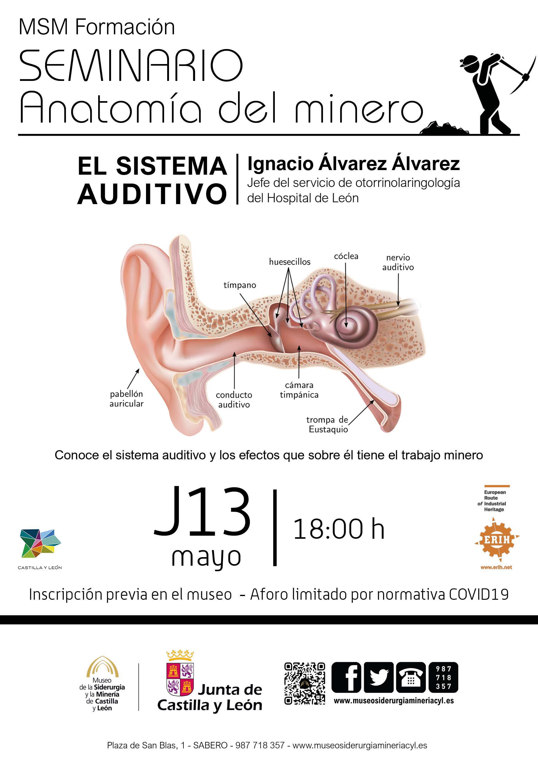 Seminario: Anatomía del Minero0