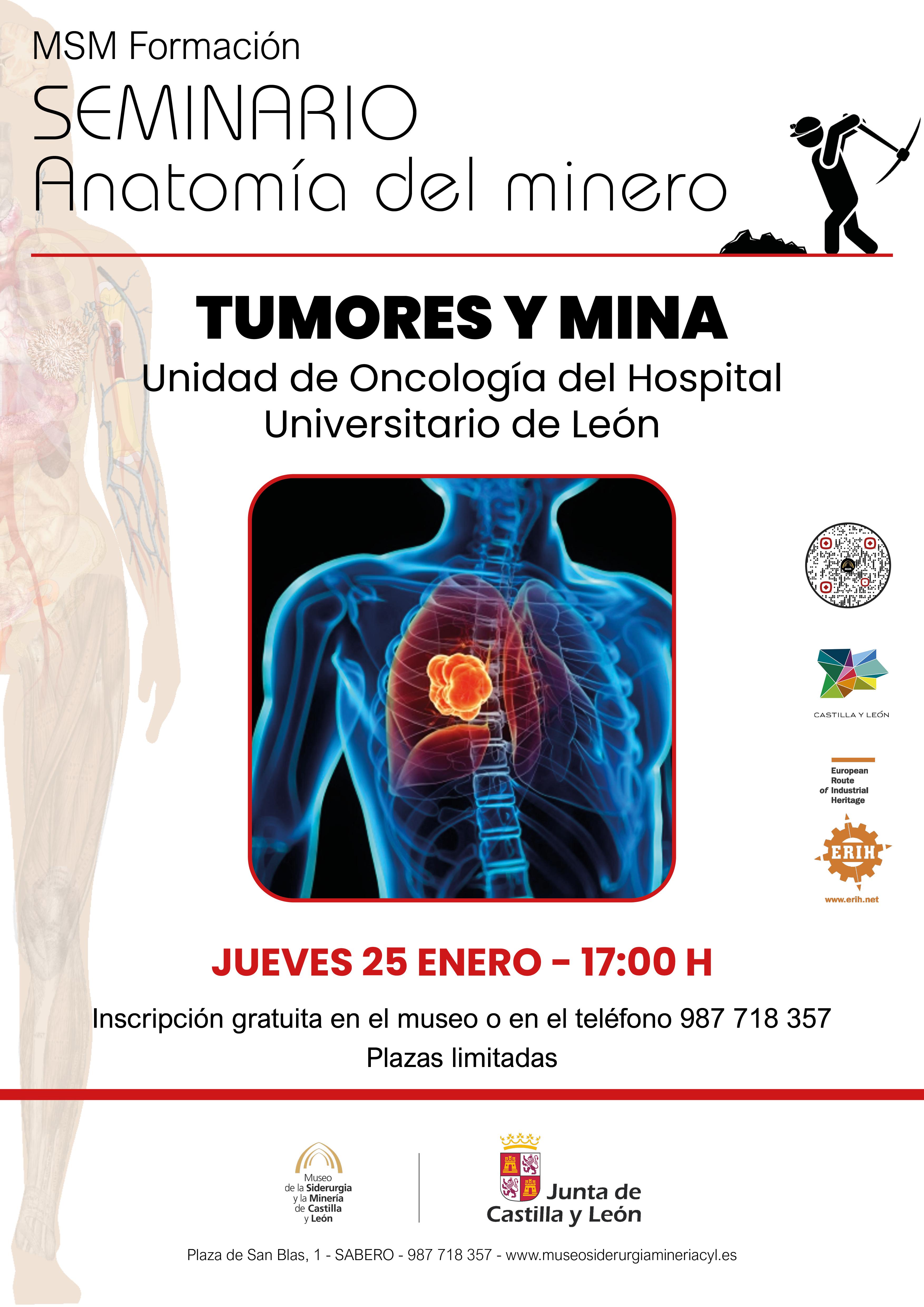 Seminario anatomía del minero.0