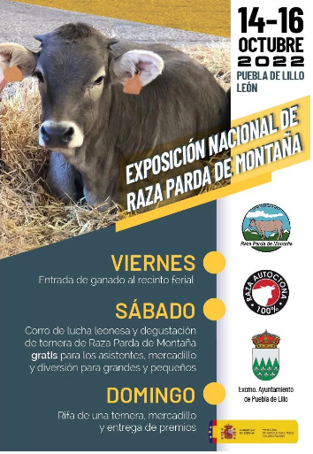 Exposición nacional de raza parda de montaña.0