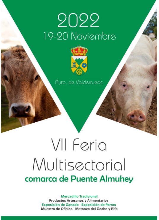 Feria multisectorial comarca de Puente Almuhey.0