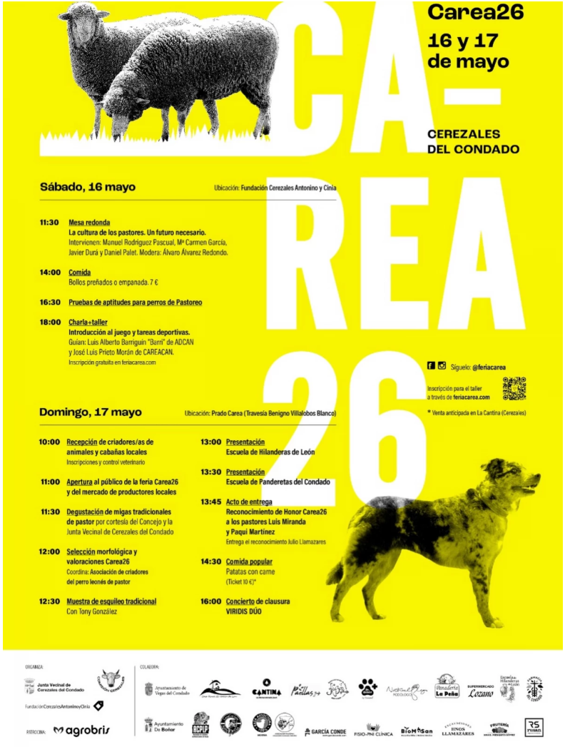 Carea260