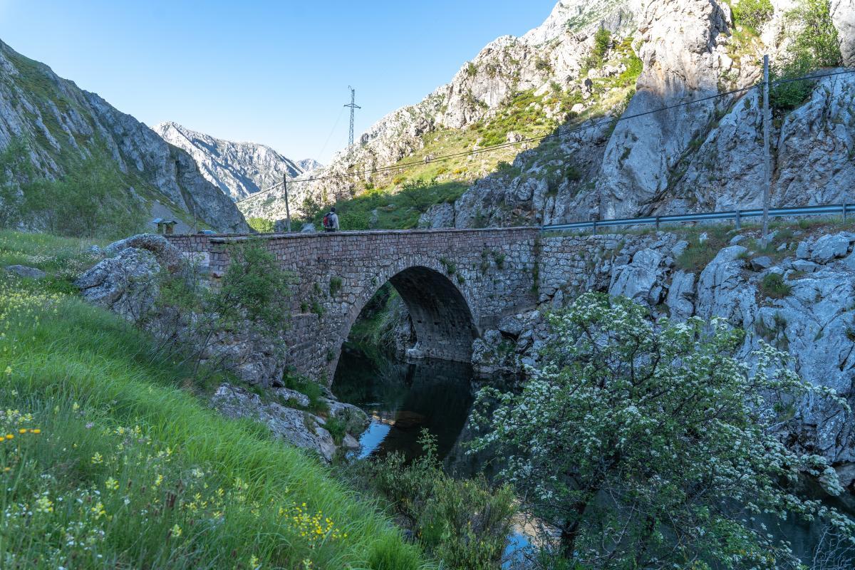 Puente de Villarín2