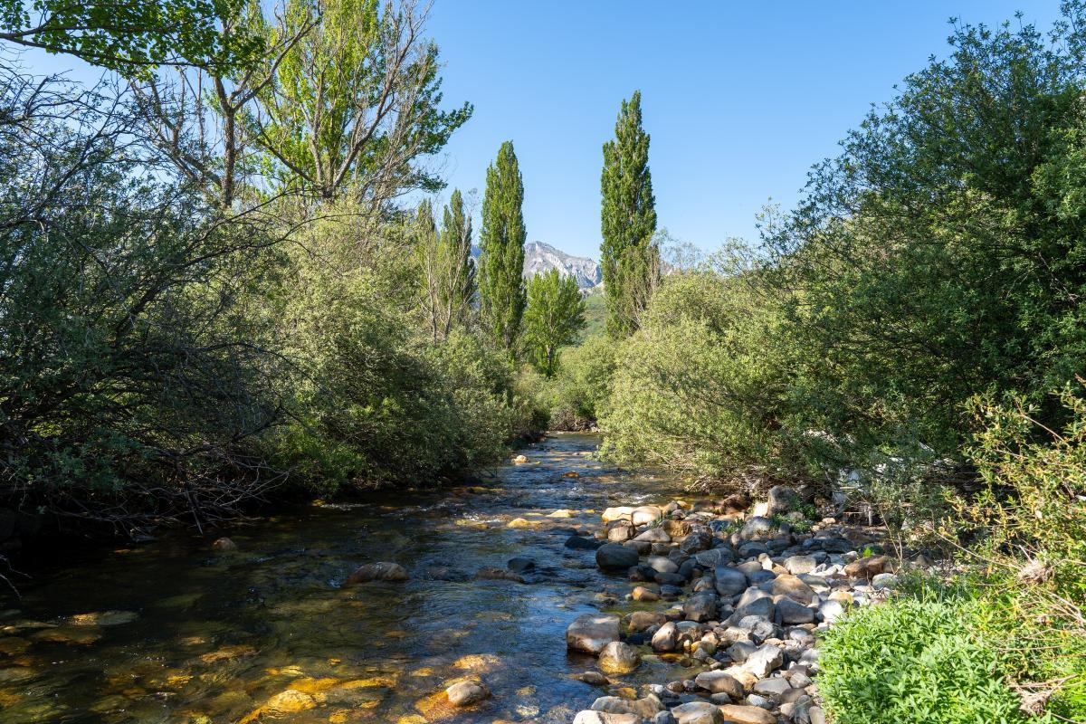 Puente de Los campos de Lugueros4