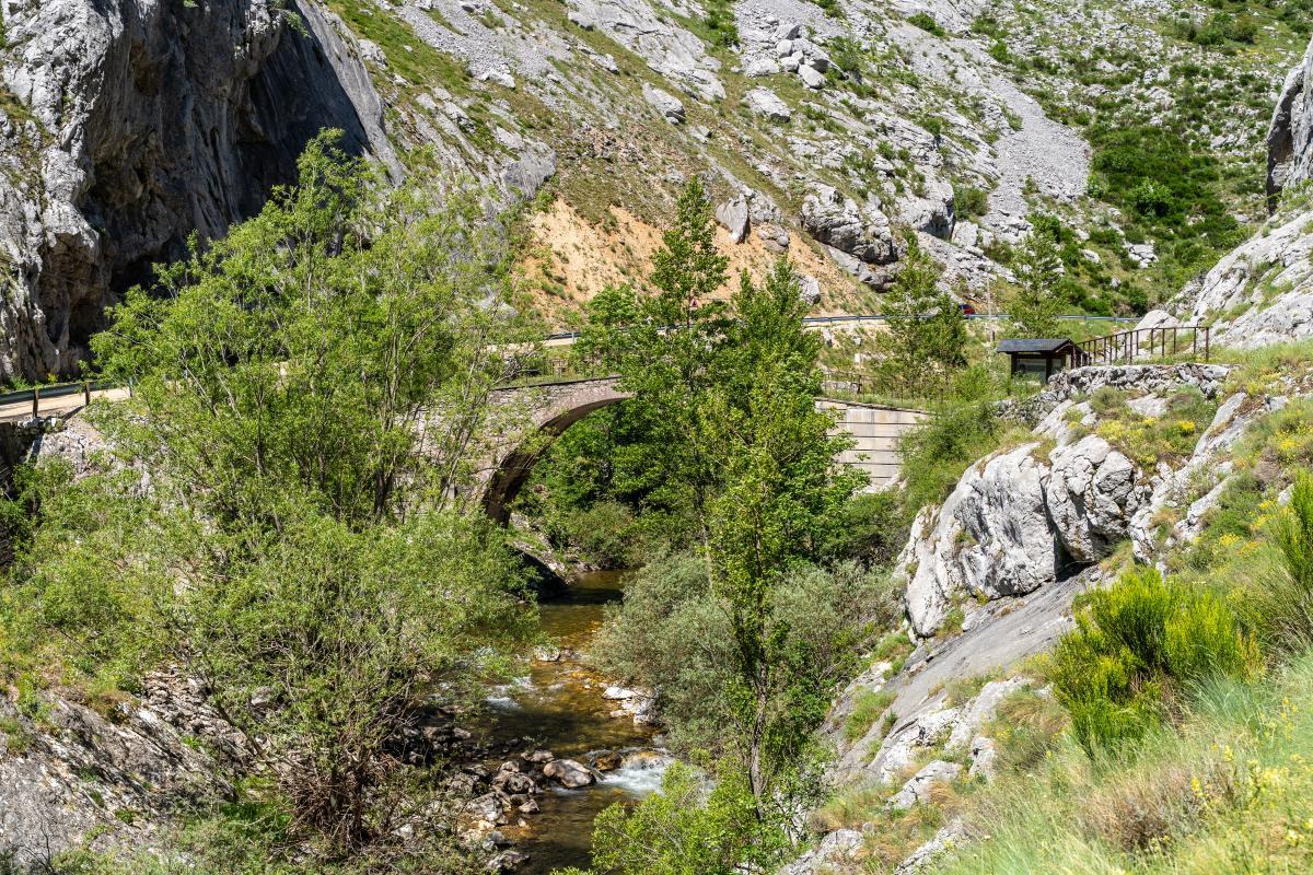 Puente del Ahorcado o de Los Verdugos3