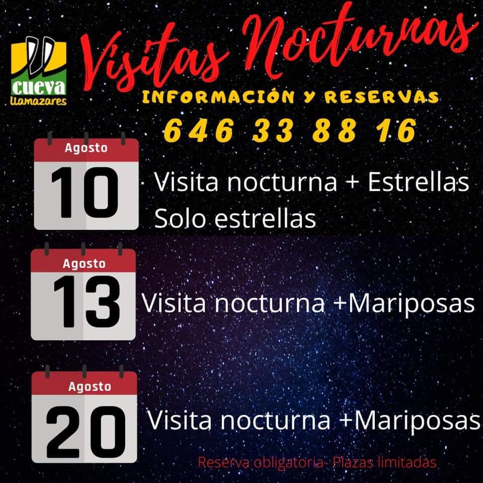 Visita nocturna + Mariposas0
