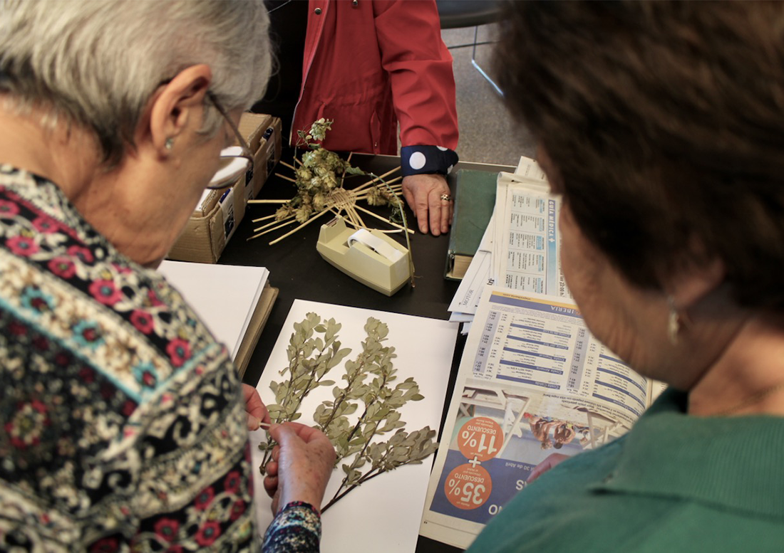 HERBARIUM. EL HERBARIO MANUSCRITO0