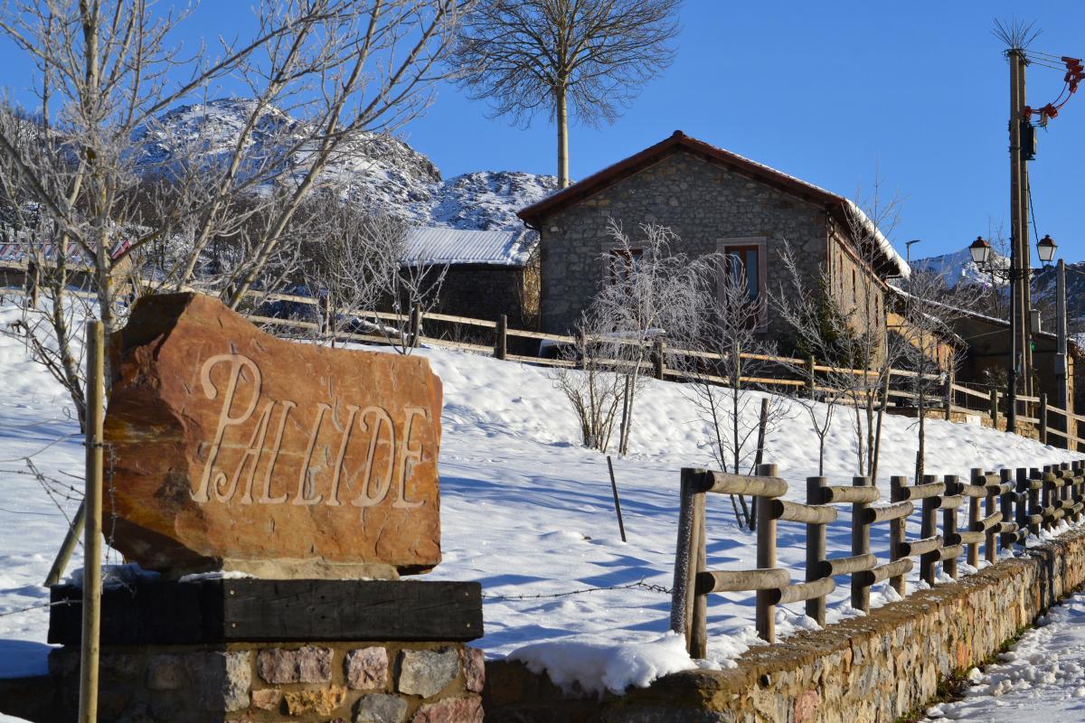 Albergue Turístico de Pallide.          22