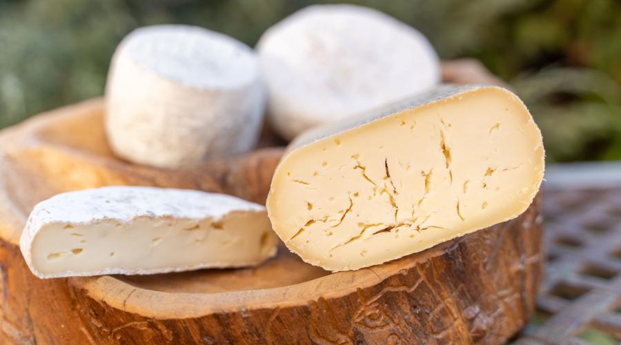 Queso Montaña de Riaño: sabor auténtico de León