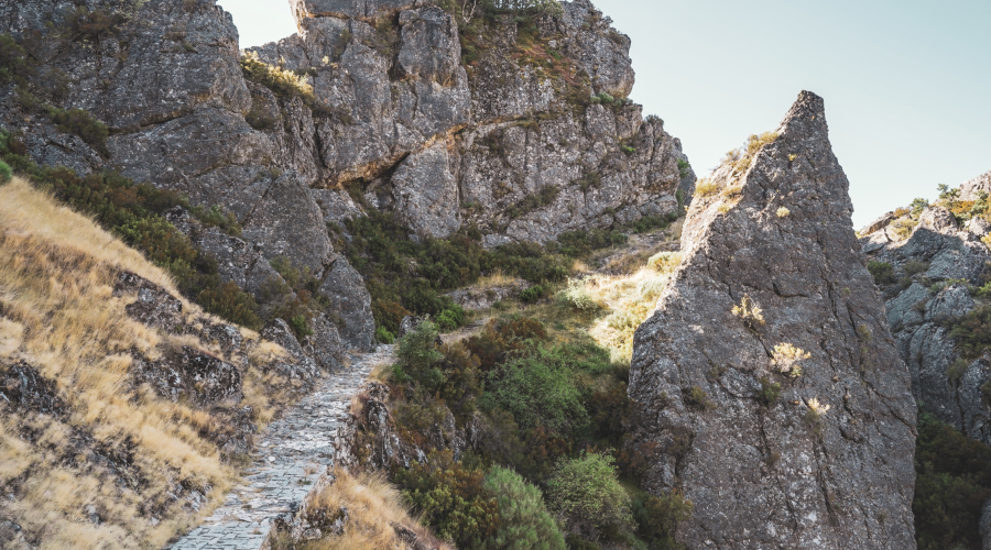 Viajes naturaleza España: Montaña de Riaño te va a encantar