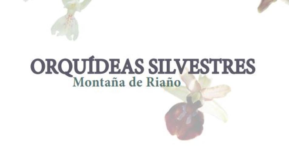 GUÍA DE ORQUÍDEAS SILVESTRES