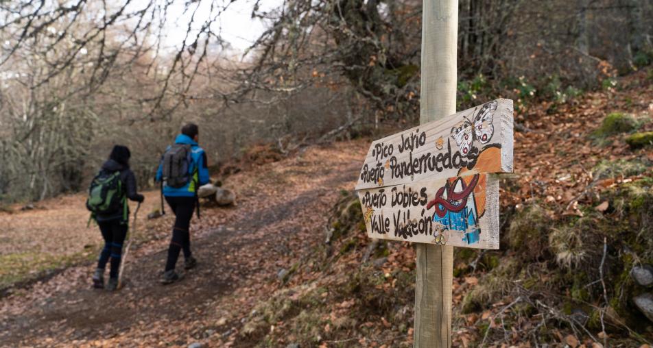 Rutas y senderos