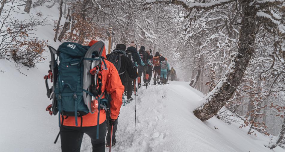 Actividades de nieve