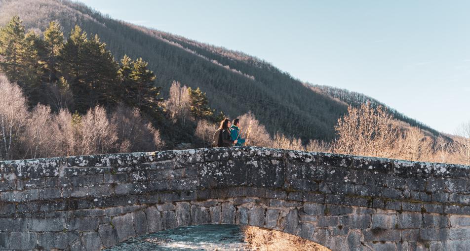 Camino Liébana-Sahagún