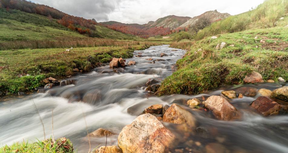 Los caminos del agua