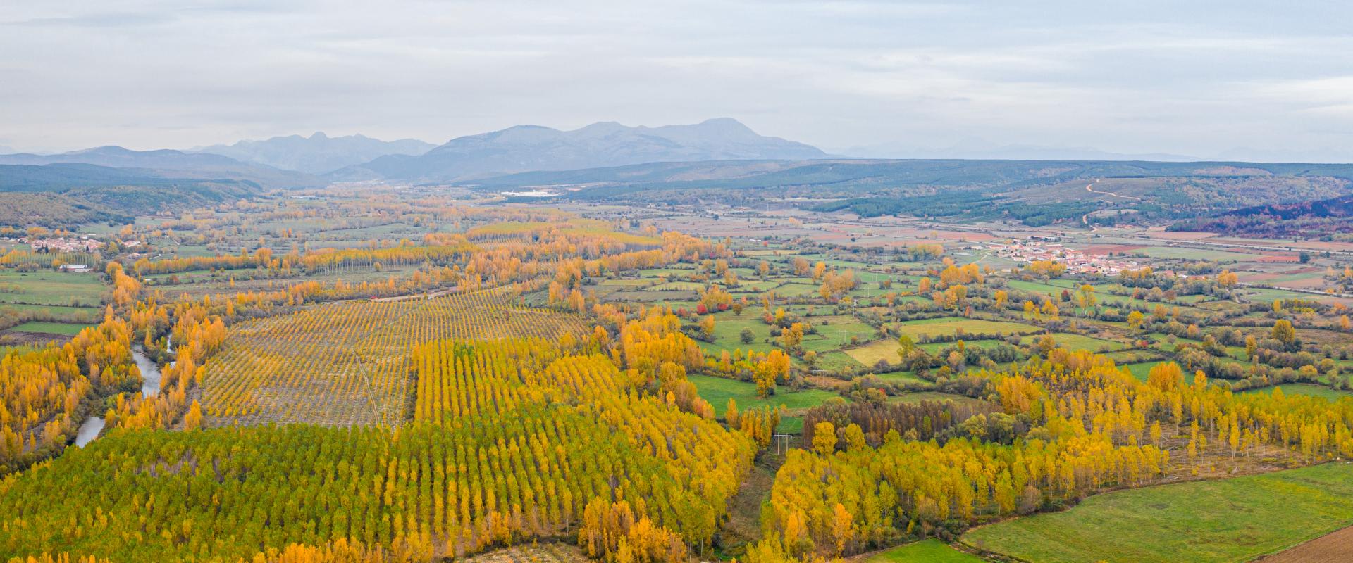 Ribera del Esla (Turismo Montaña Riaño)