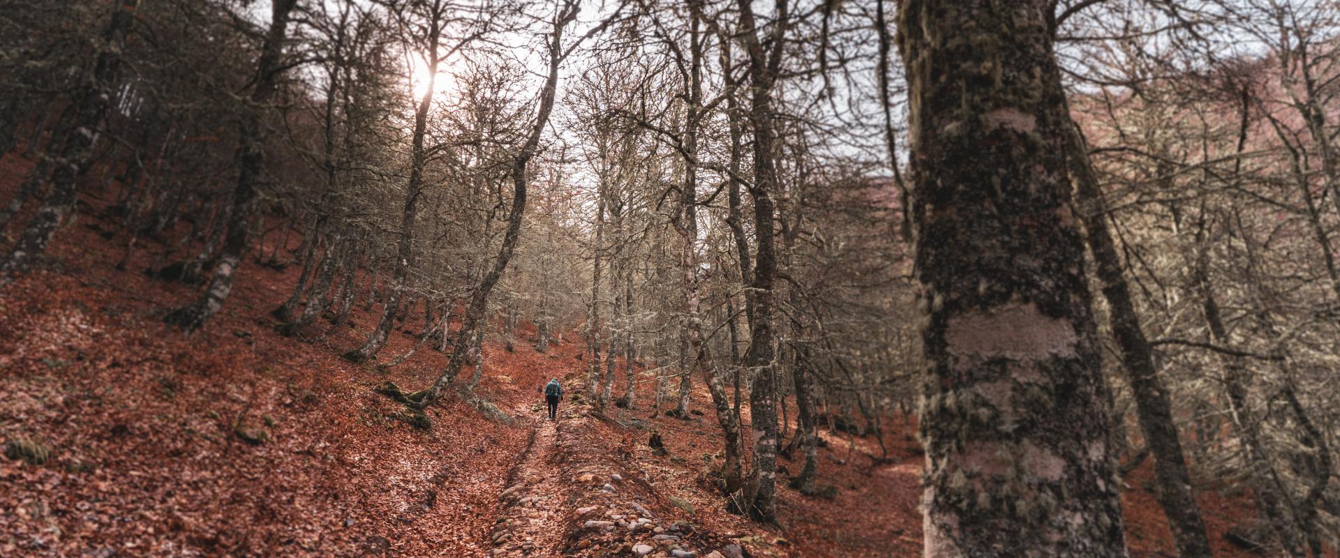 Turismo Montaña Riaño