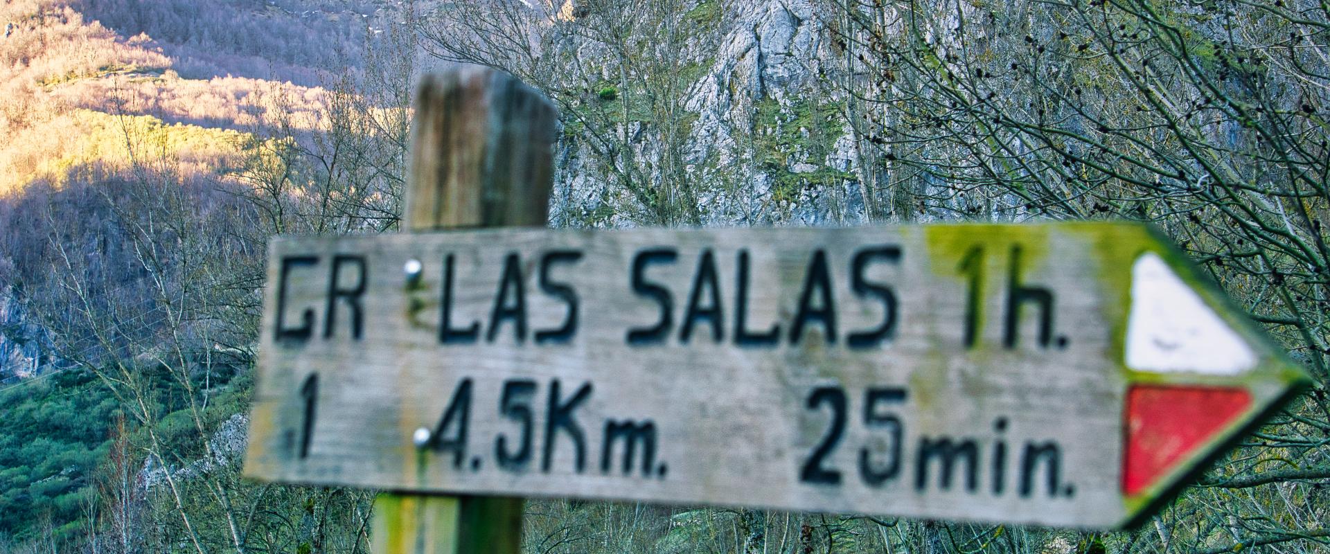 GR 1 (TURISMO MONTAÑA RIAÑO)
