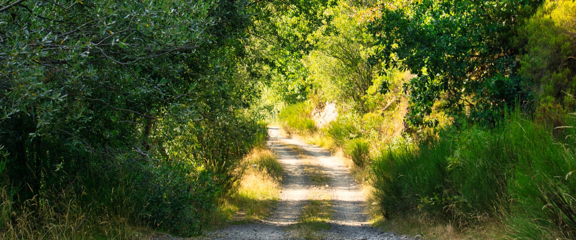 VALLE LECHADA (TURISMO MONTAÑA RIAÑO)