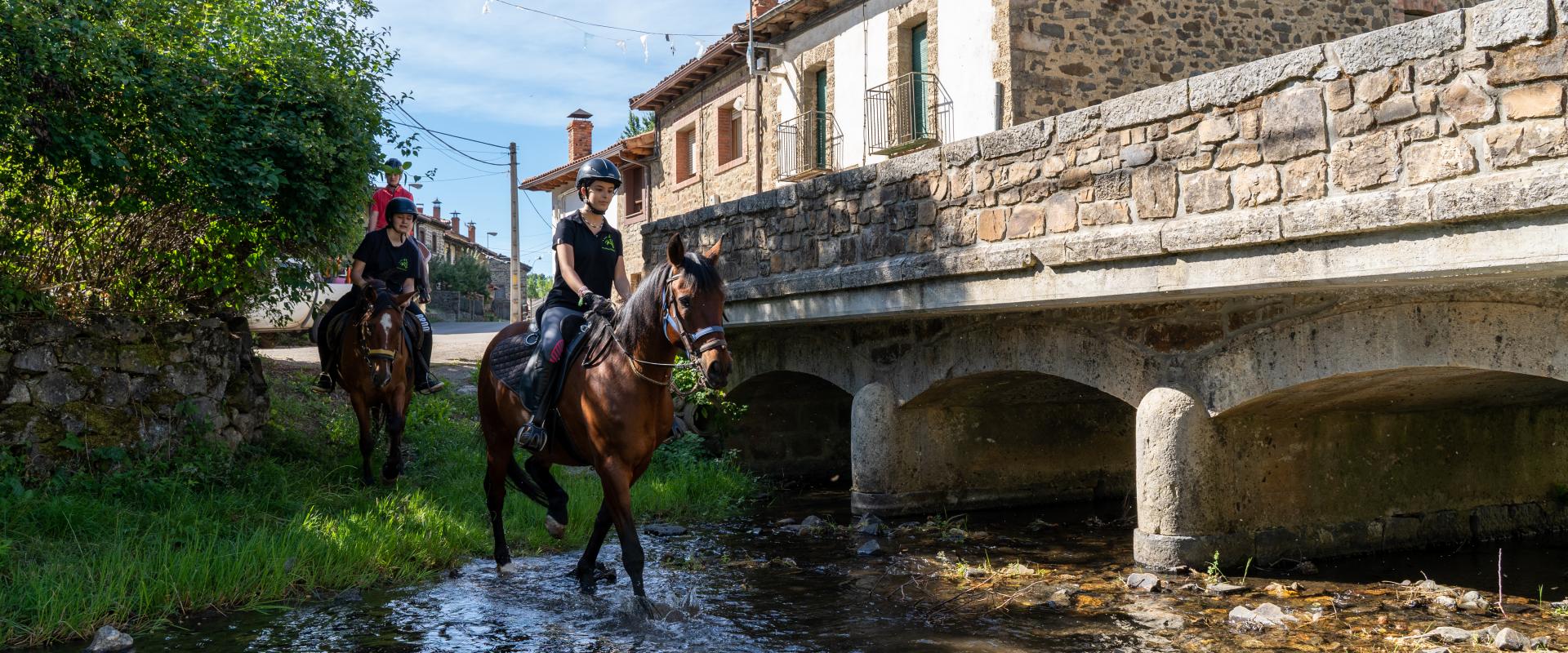 GRANJA MORGOVEJO (TURISMO MONTAÑA RIAÑO)