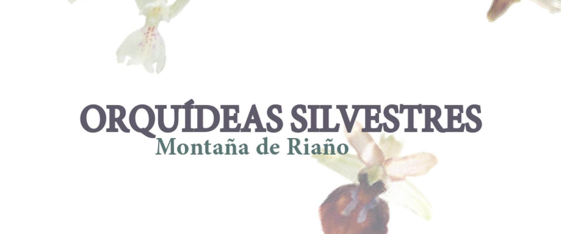 TURISMO MONTAÑA  RIAÑO